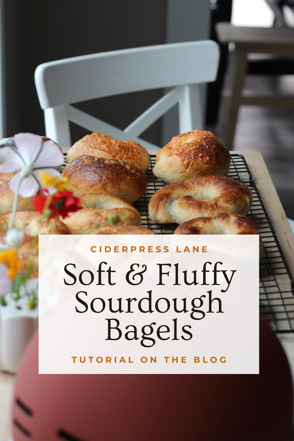 the best sourdough bagel easy recipe