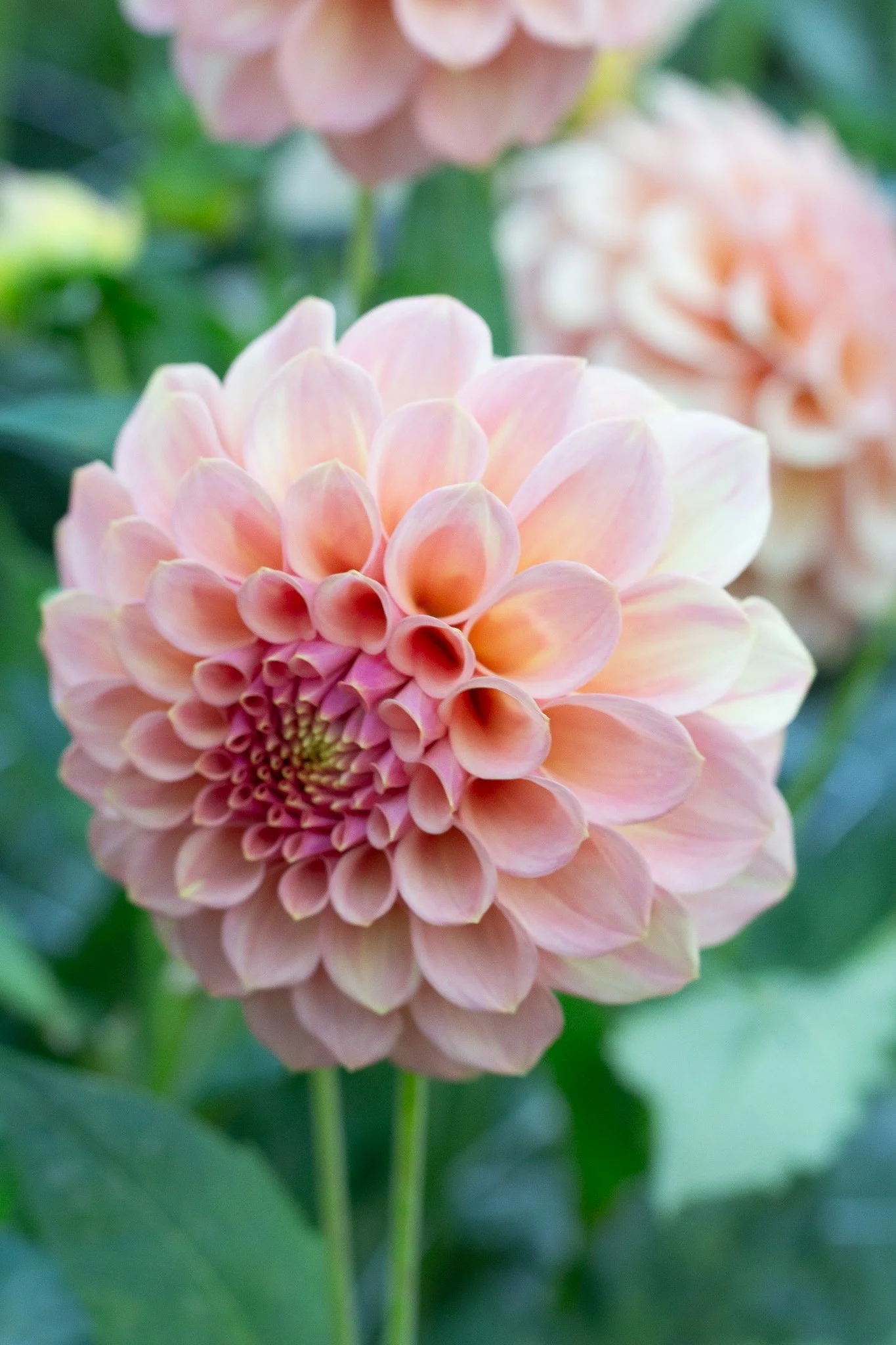 Rock Run Ashley 11.jpg