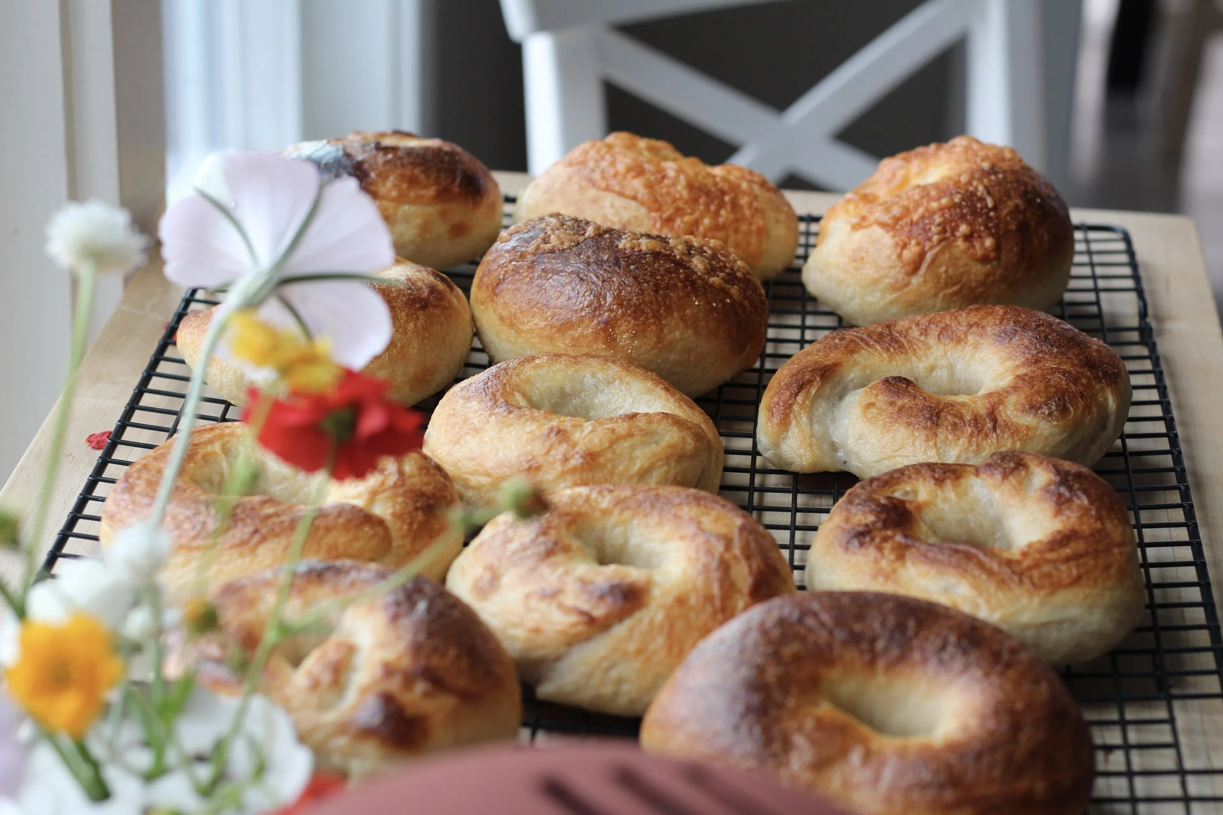 No stress sourdough bagel recipe easy