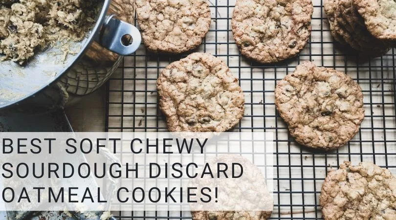 Best Soft Chewy Oatmeal Raisin Cookies