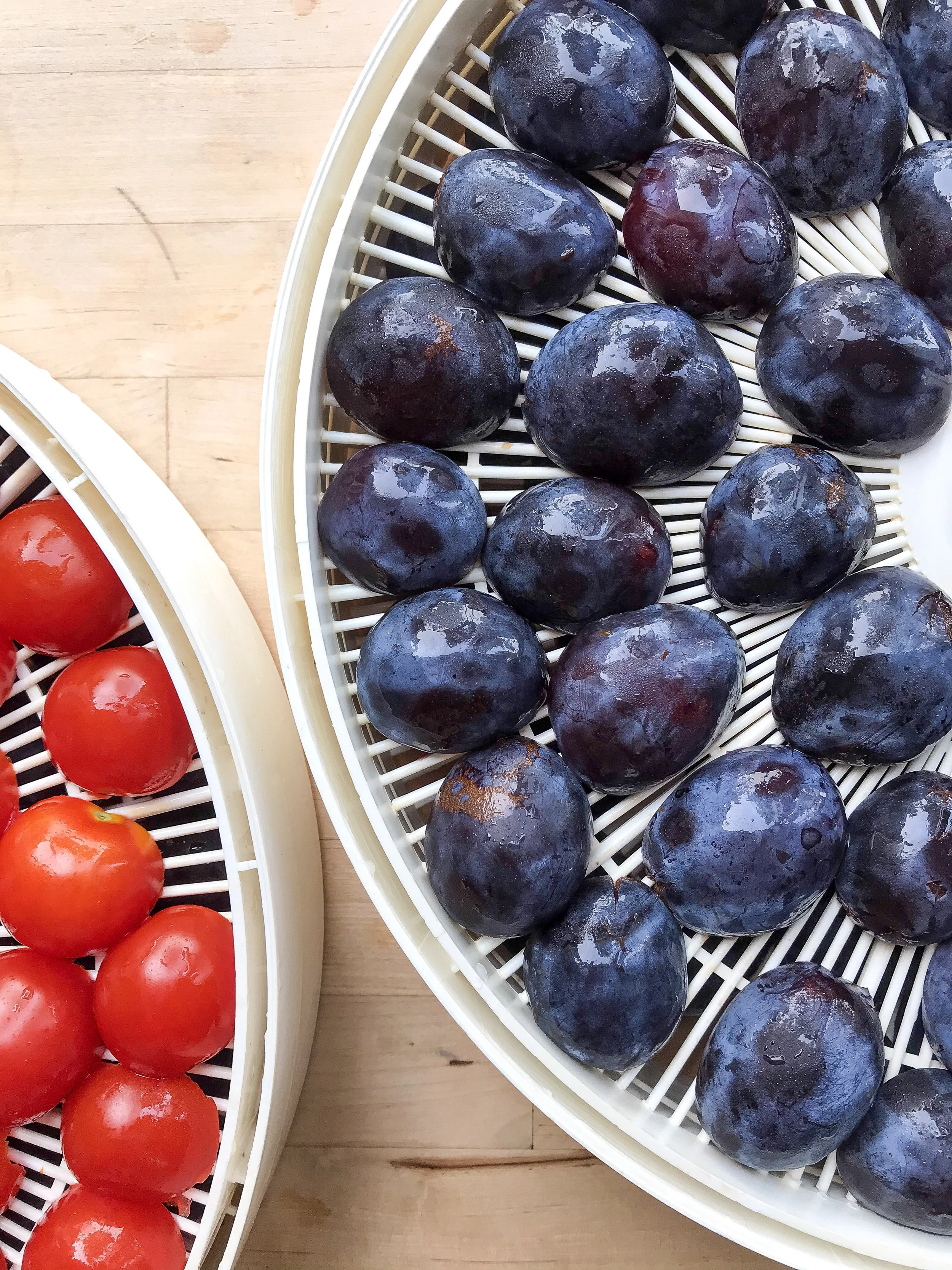 no stress harvest plum recipe for delicious Italian plums