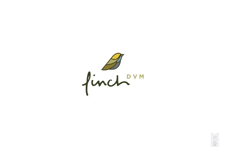 FINCH DVM