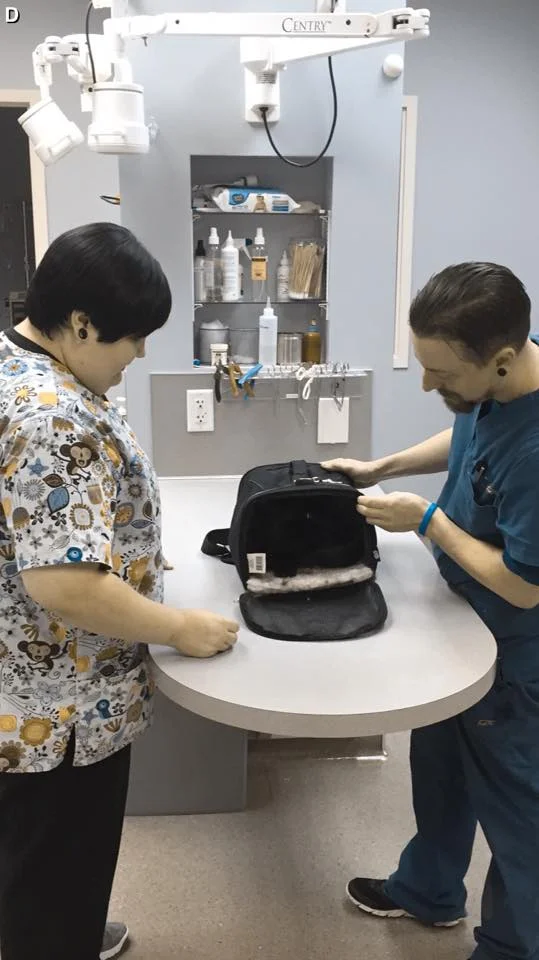 TREY IS SO MEAN, BUT IT IS NOT A SUSTAINABLE STATE