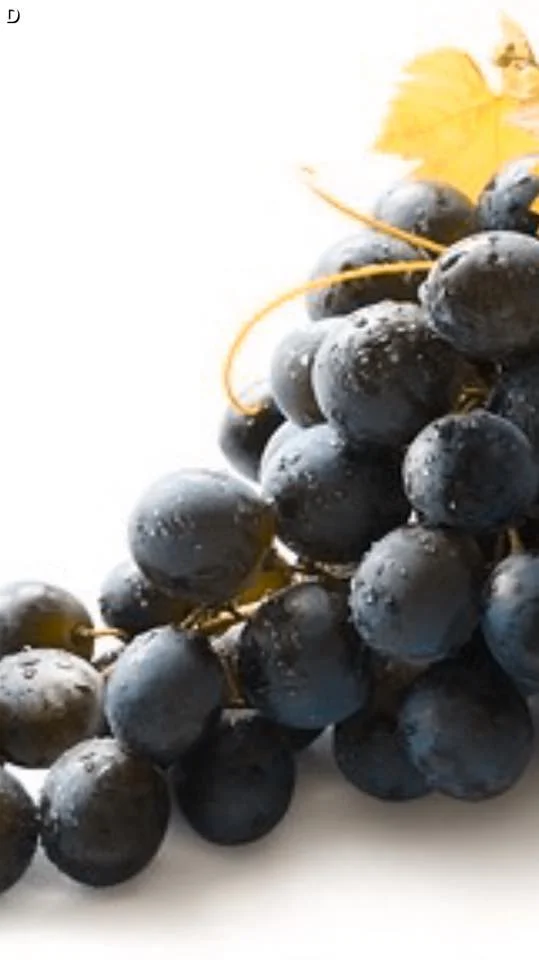 DO YOU HAVE ANY GRAPES?