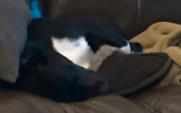 THE BIG IMPORTANT THINGS