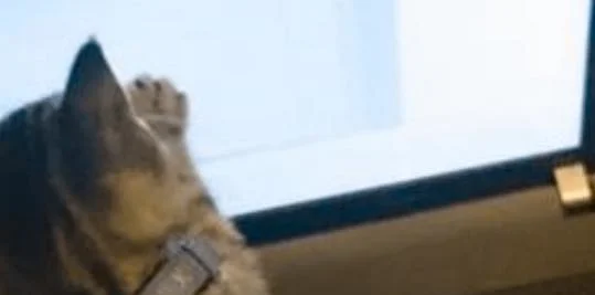 THE VALUE OF KNOWING SOMEONE YOU TRUST IN A FIELD UNRELATED TO YOUR OWN