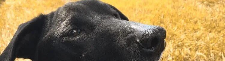 YOU RECOGNIZED MY WRITING STYLE!