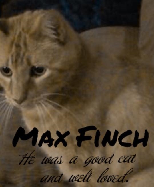 NINE LIVES WELL LIVED