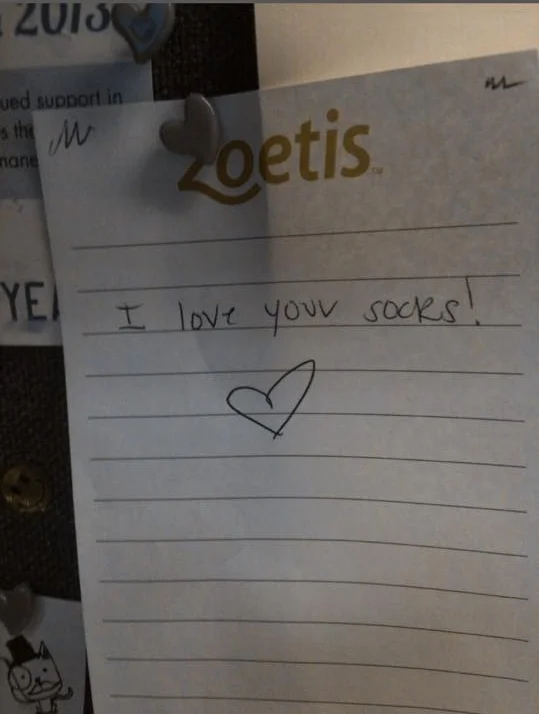 I KNEW IT WAS YOU THE WHOLE TIME AMANDA NICHOLS!