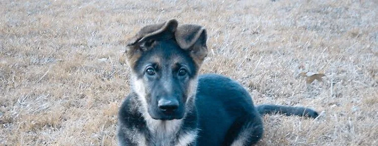 MAKE YOUR PEOPLE PROUD