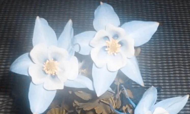 SOME MOMENTS FOREVER CHANGE THE WAY YOU SEE THE WORLD