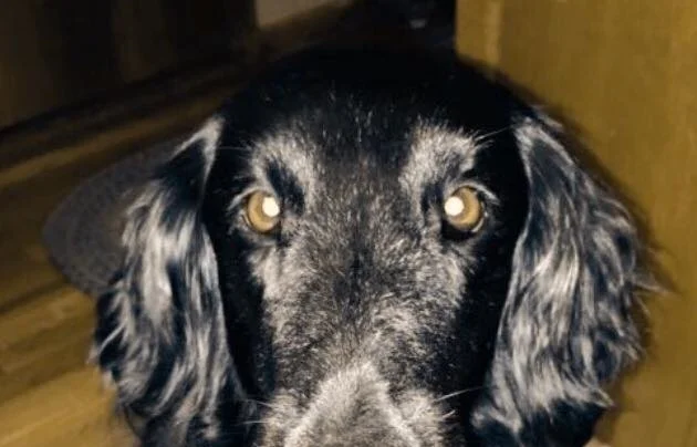 OH! I LIKE THAT KIND