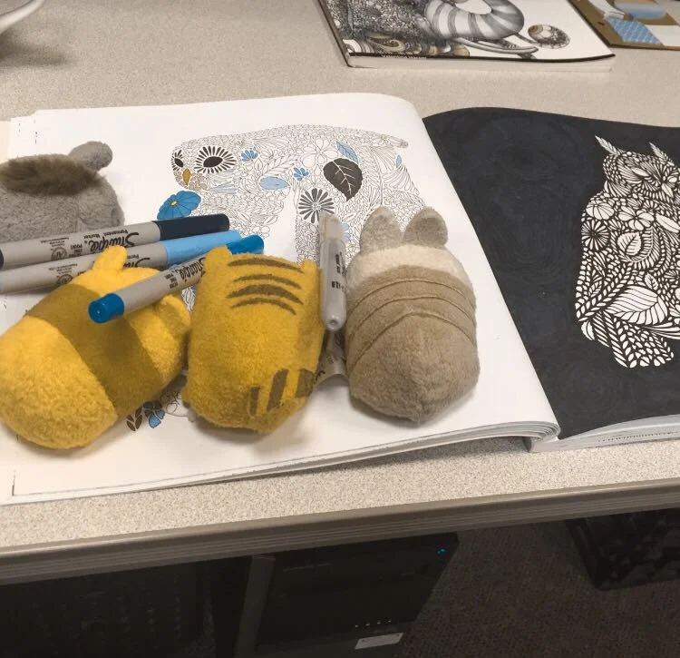 THE IMPORTANCE OF PROJECTING A PROFESSIONAL IMAGE VS THE IMPORTANCE OF SURVIVING THE DAY