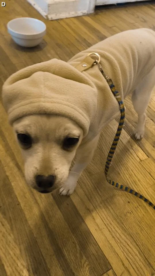 I SURE AM A SUCKER FOR A CUTE FACE