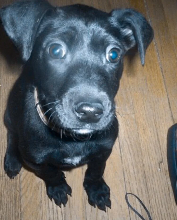 JOY HAS NO COMMENT AT THIS TIME