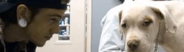 ARE YOU OKAY WITH NEEDLES?