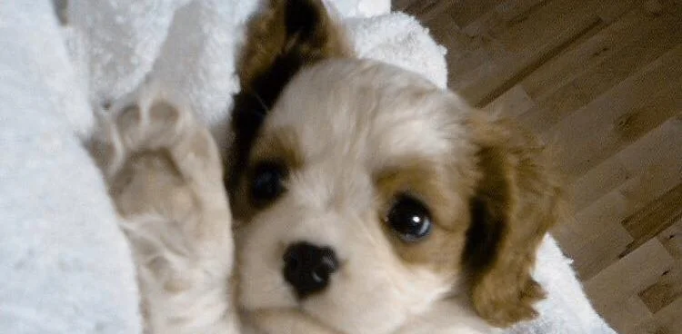 MEASURES OF A GOOD DAY