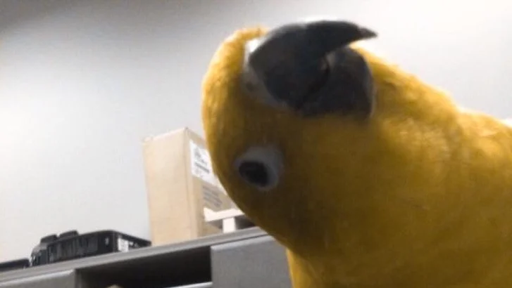 WHAT IF EVERY CASE IS A GIFT?