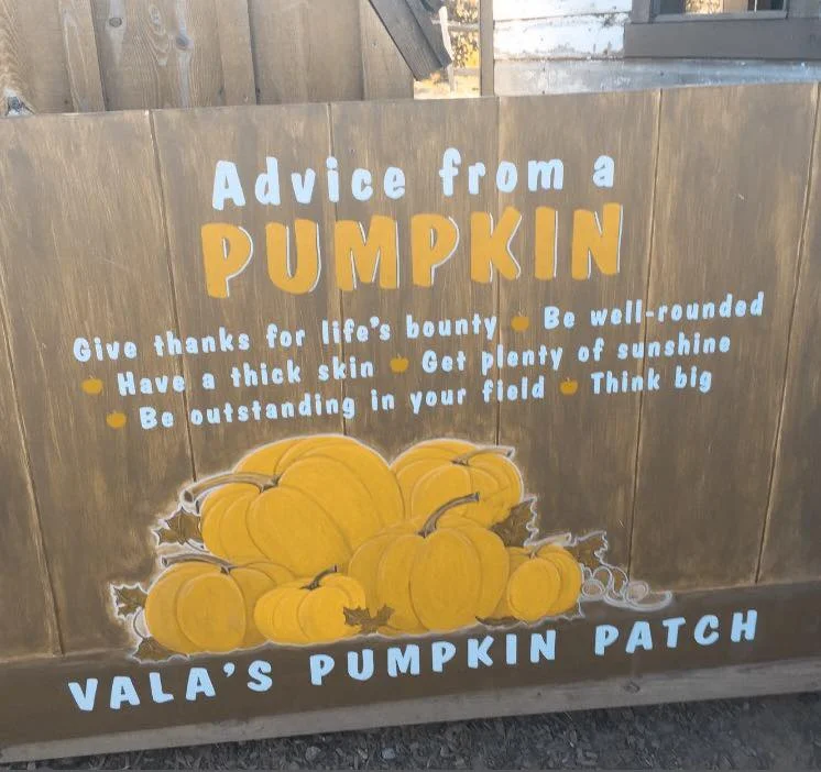 VALA'S PUMPKIN PATCH