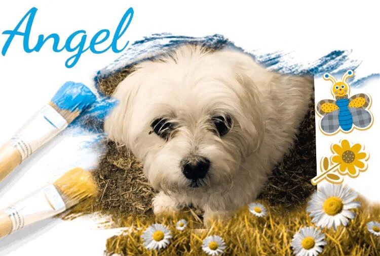 TAKING A REAL VACATION, NOT A VETERINARIAN VACATION