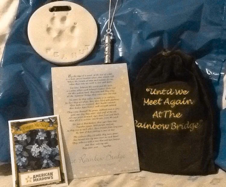 I WILL TAKE IT EVERY TIME, DAMMIT