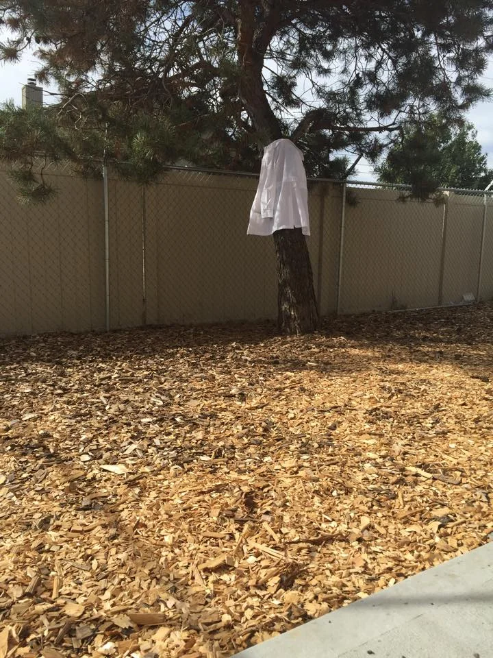 EVERY CAT, EVERY TIME