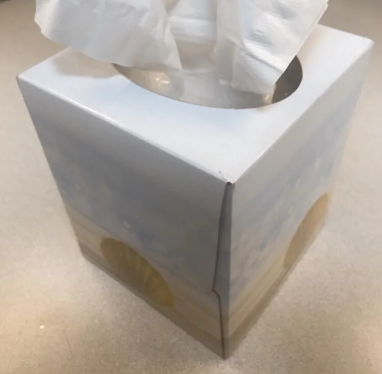 ON EUTHANASIA APPOINTMENTS