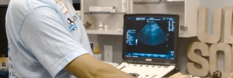 BECAUSE HEARTWORM ANTIGEN TESTS ONLY DETECT FEMALE HEARTWORMS