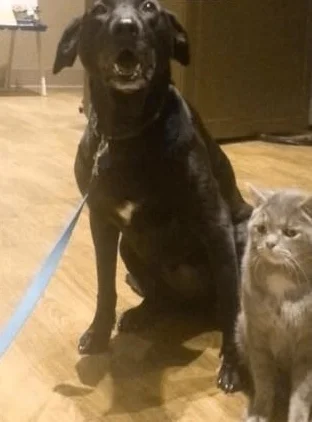 A CASE OF THE MONDAYS