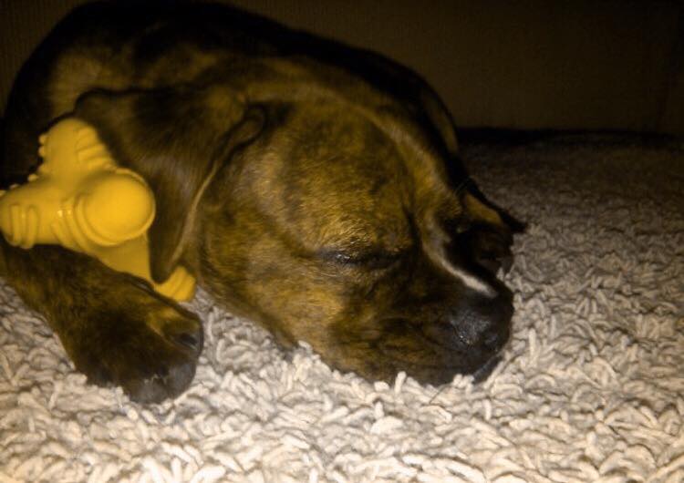 ALL THREE WORK EQUALLY WELL