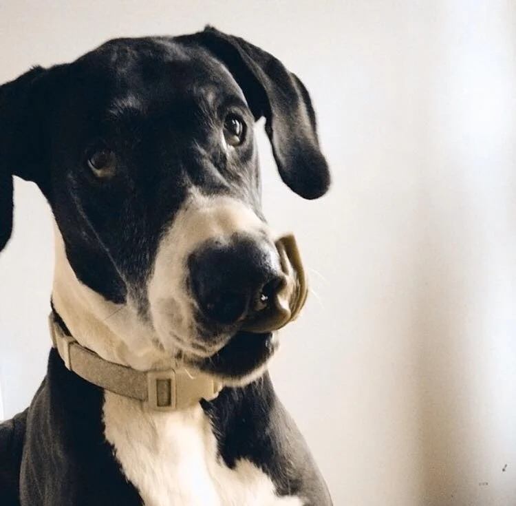 ON MEETING STEPHEN BALDWIN