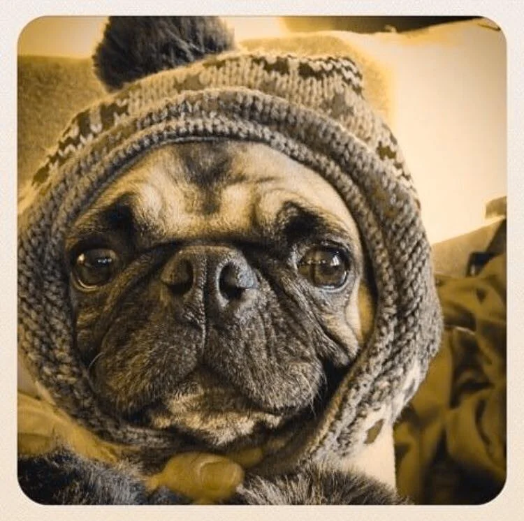 I WILL TAKE THIS EXTREME ANY DAY