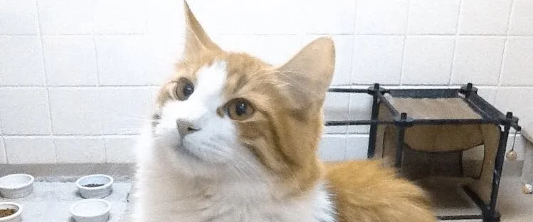 IT IS ALWAYS IDEAL TO REMEMBER YOUR PATIENT’S NAME