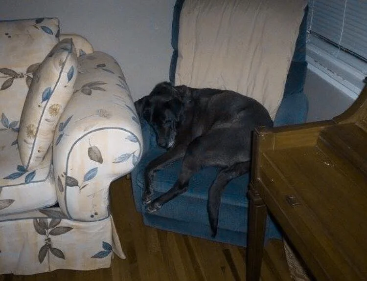 I WISH WE’D ALL BEEN READY