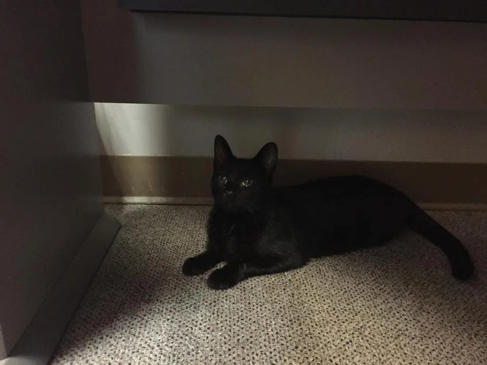 HEALTHY RELATIONSHIPS ARE OVERRATED