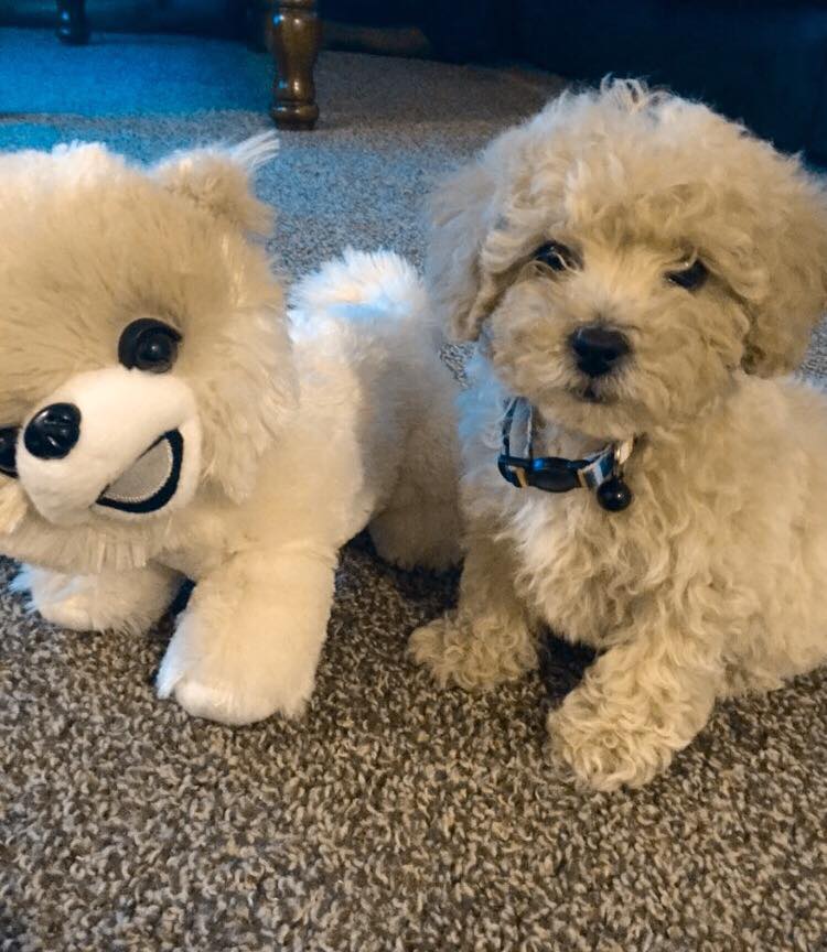 Boston Marshall and Boston Marshall