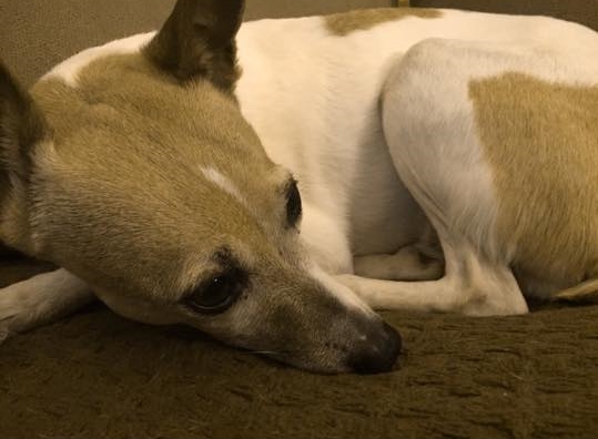 Sometimes I just get so tired.