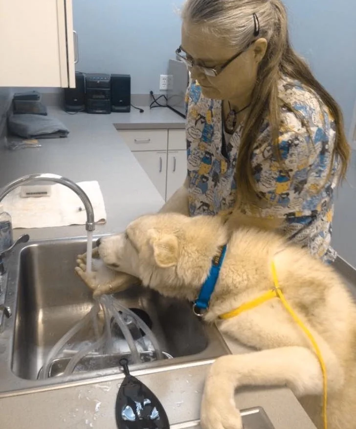 I LOVE OUR BOARDERS!