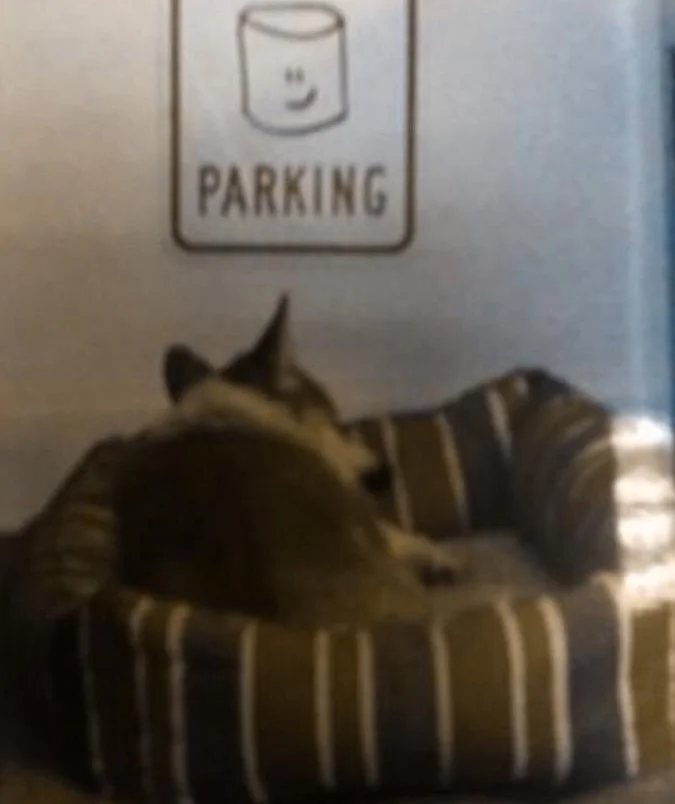 CHARLIE FORGOT TO GIVE MY HEART BACK BEFORE HE LEFT