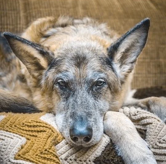 I WAS NOT SO CONCERNED WITH THIS BEER AS WITH ALL THE ONES BEFORE THIS ONE