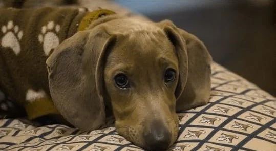 I AM NOT READY TO GIVE UP ON HUMANITY