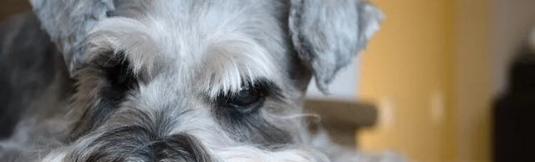 ON THIS DAY, ANYTHING GOES