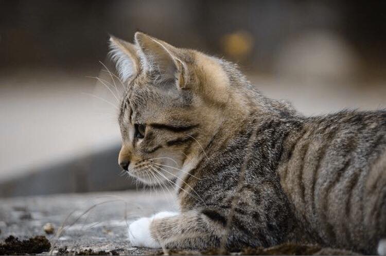 BEYOND OUR EXPERTISE