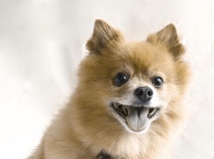 IT’S NEVER HAPPENED SINCE *SIGH*