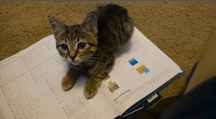 I WAS LISTENING MR. BIGA