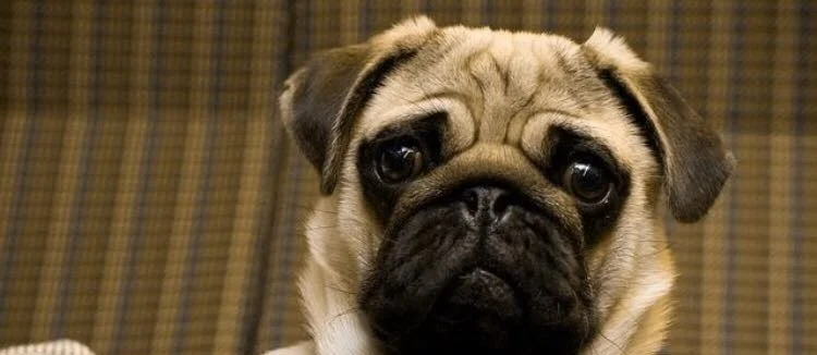 THE IMPORTANCE OF A COMPLETE HISTORY