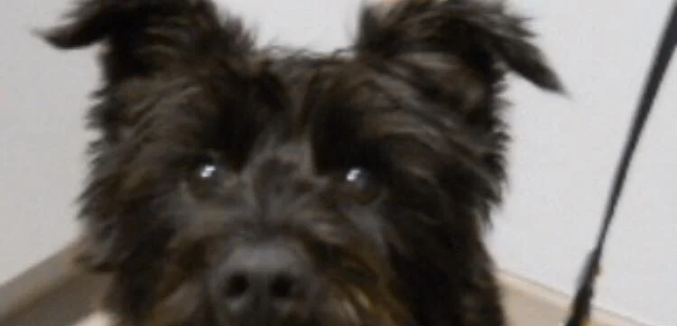 WILL YOU REMEMBER ME IN A WEEK?