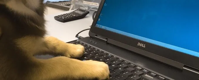 WHEN DR. GOOGLE COMPLETELY EXCEEDED MY EXPECTATIONS