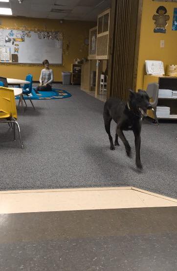 We told Joy that Frank was coming to Sunday school and she ran back and forth through the room till she was wiped out.
