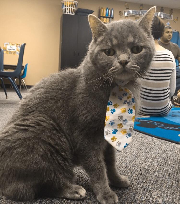I wore my Sunday best. Grandma made this tie and all my other ties too.